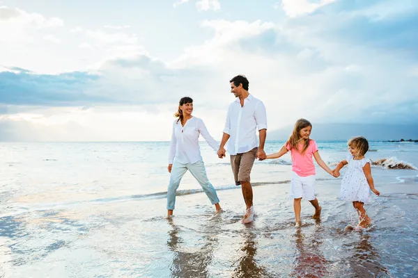 Litvanya Konsolosluğu Aile Birleşimi İşlemleri