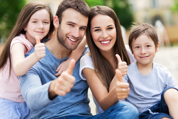 Litvanya Aile Birleşimi İşlemleri Ne Kadar Sürer?