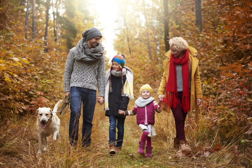 Slovakya Aile Birleşimi Vizesi Red Nedenleri Nelerdir?