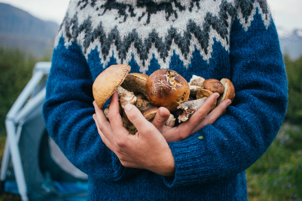 Norveç Yemek Kültürü ve Nerede Ne Yenir ?